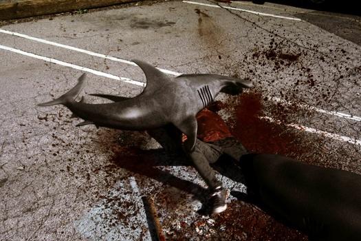 TV-SharknadoSequel104923--525x350