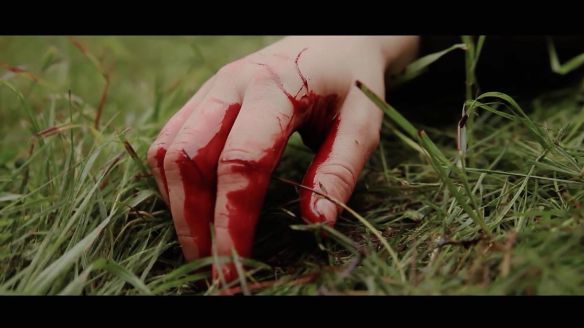 20368763_1405626746152438_6075564168400775255_o