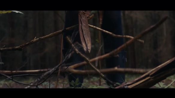 20507102_1411198712261908_8636730517125538782_o